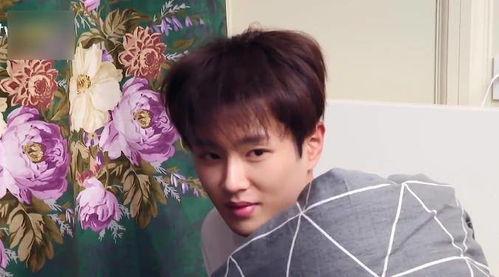 娱乐圈吃瓜李宏毅是谁啊